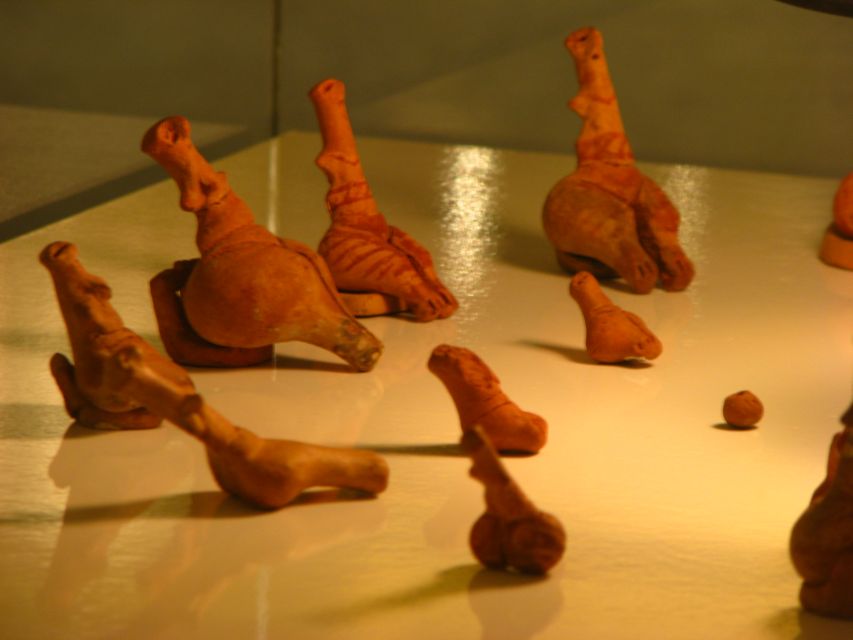 Cucuteni eneolithic art museum – Piatra Neamț – photo 18